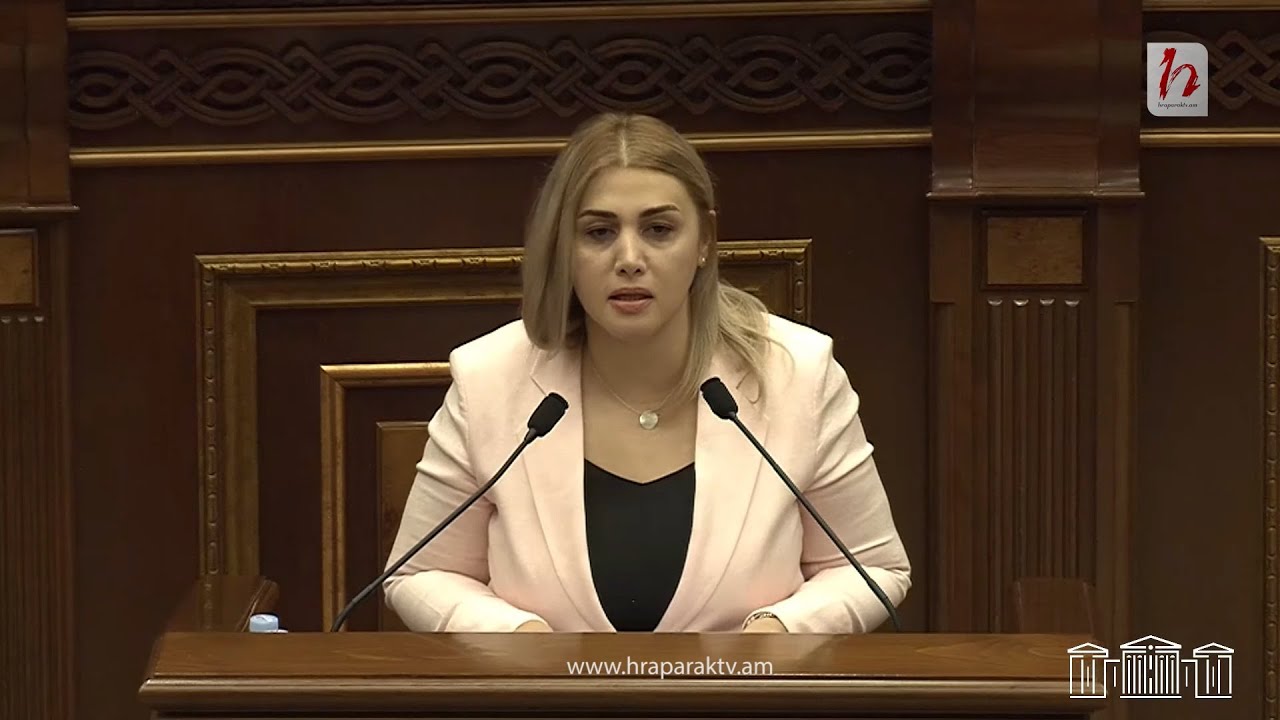 Սահմանների հարցը չի կարելի սահմանազատել մարդուց. Էլինար Վարդանյան