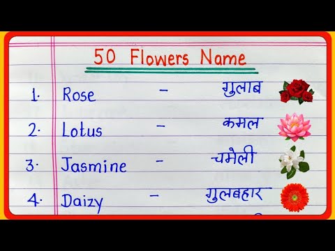 50 flowers name in english and hindi || phoolon ke naam || 50 Flower Names || 50 flowers names