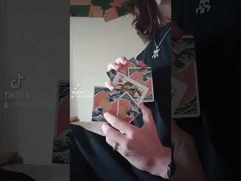 The werm ? #cardistry