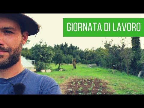 Come registro un video | Vi porto con me dietro le quinte