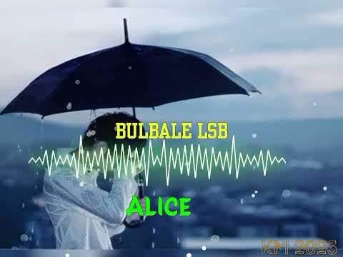 Bulbale Lsb: Alice 2023