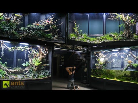 I'm Connecting All My Vivariums Together... Please Help