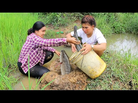 Amazing Two girls Deep Hole for food - How To find food in Rice Field