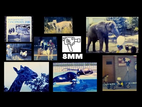 Visita allo zoo di Cincinnati nel 1979 con spettacolo circense con scimmie ammaestrate!
