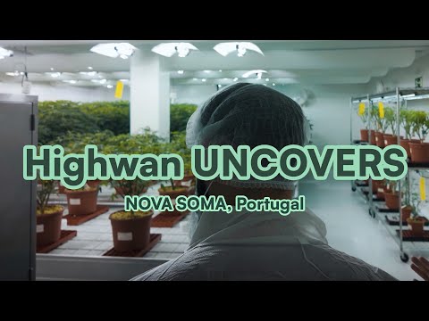 Von Handarbeit bis Hightech: So entsteht das perfekte C*nnabis | Highwan UNCOVERS