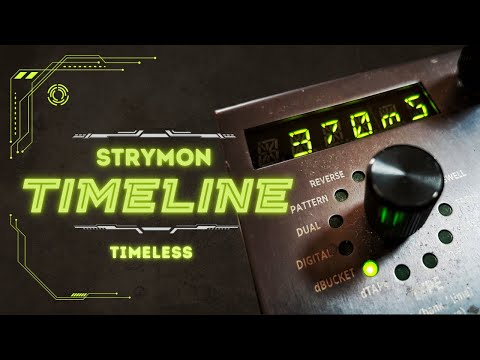 Strymon Timeline (dBucket) feat Mobius