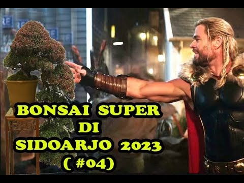BONSAI SUPER SIDOARJO (2023) #4