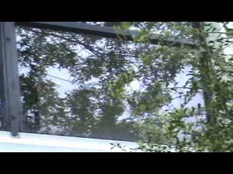 Paranoia- Short Film