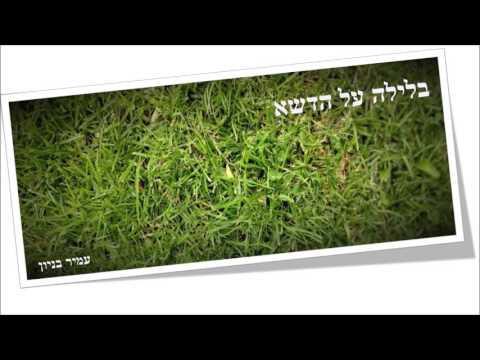 עמיר בניון