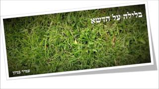 עמיר בניון
