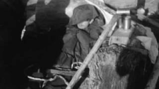 Papercuts - Future Primitive