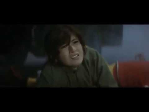 The Street Fighter's Last Revenge