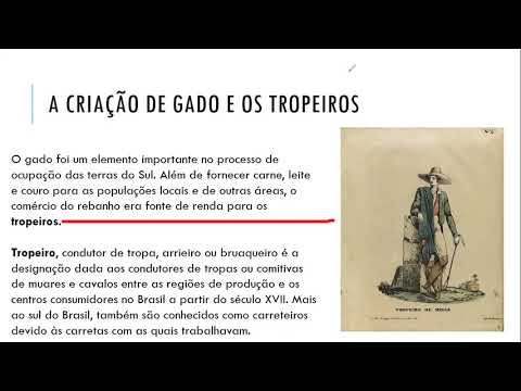 Região Sul   Aspectos humanos