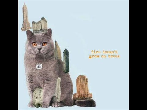 Who dreams of cats? のサムネイル