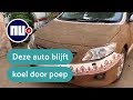 Indiase vrouw bedekt auto met koeienmest | NU.nl