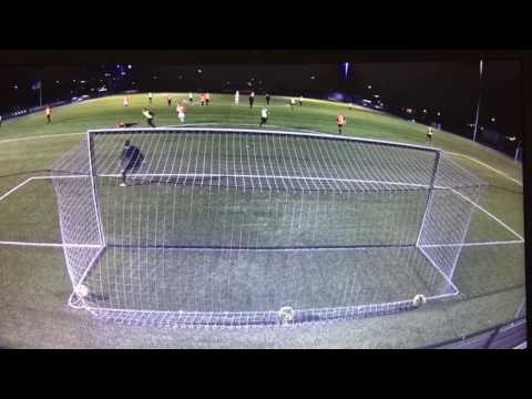 Trainingsdoelpunt Groen Wit 62