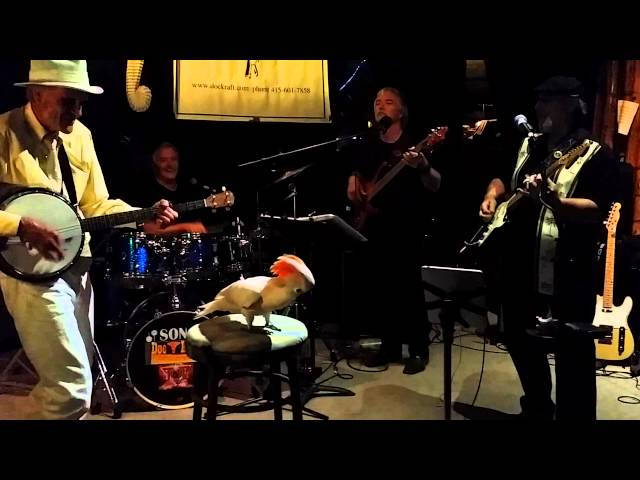 The doc Kraft dance band With A Surprise.