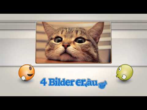 Erklärvideo Kugelköpfe