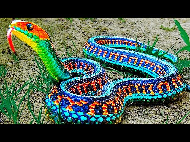 Самые редкие змеи в мире