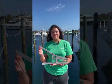 How do you crack stone crab claws?