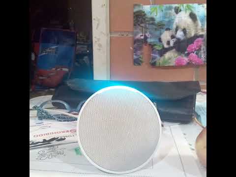 Escuchando ladridos de perro 🐶