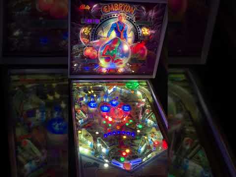Embryon Pinball with custom LEDs