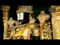 Tirupati Balaji Dharshan Live