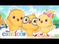 ‍ ‍ Thanksgiving Special Together ️Canticos Nursery Rhymes Kids Songs