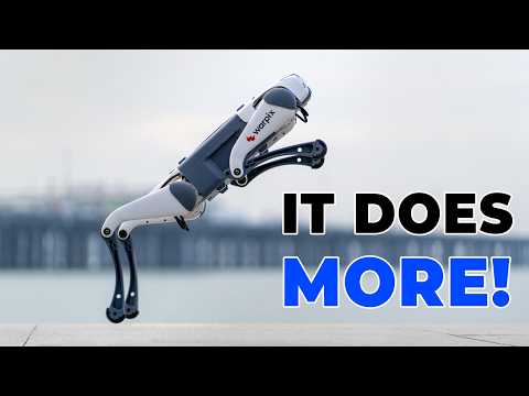 Lite 3 Review Video 1