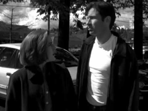 Mulder and Scully / Kiss from a rose