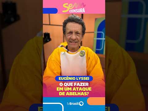 O apicultor Eugênio Lyssei explica como devemos agir durante um ataque de abelhas