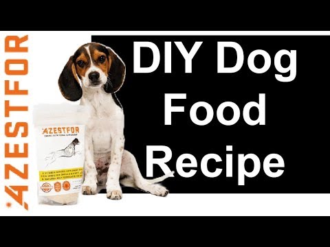 download lagu mp3 mp4 Grain Free Venison Dog Food, download lagu Grain Free Venison Dog Food gratis, unduh video klip Grain Free Venison Dog Food