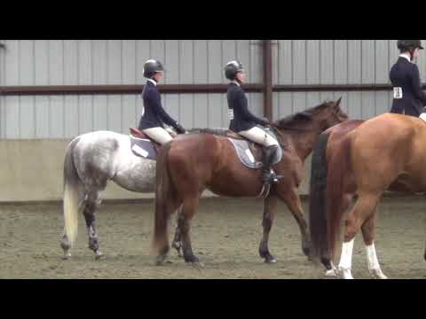 2018-02-11 IEA Bi-Regional Finals Amber