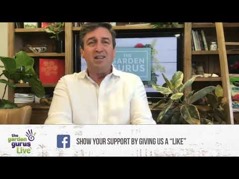 THE HOLMAN HISTORY || THE GARDEN GURUS LIVE with Wally Edwards