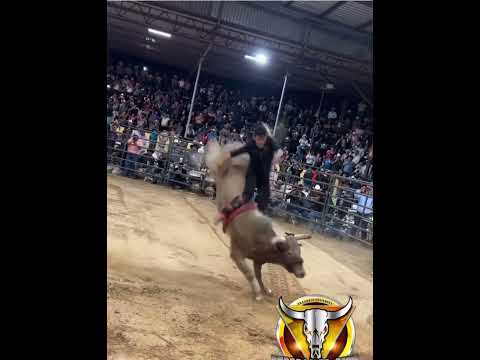 El toro g63 vs cuate de villa Juárez