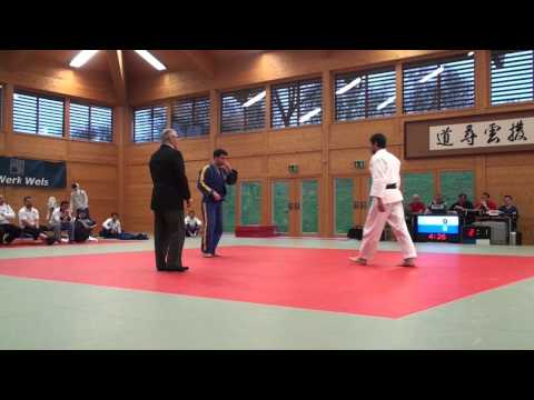 2013 Judo Bundesliga 3. Runde: LZ Wels - UJZ Mühlviertel 1.DG