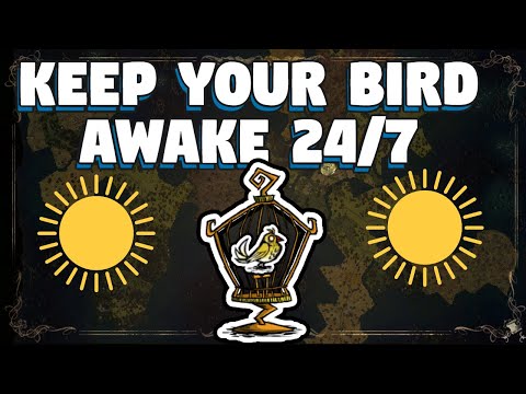 How To Keep Your Bird Awake in Don't Starve Together - Wake Up Your Bird at Night in Don't Starve