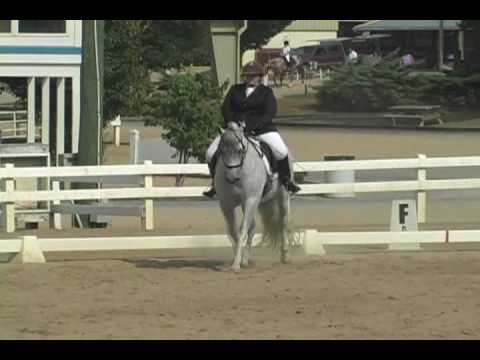 081226 Liberto Dressage