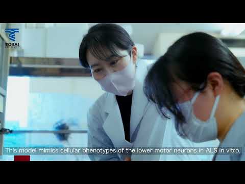【東海大学】研究紹介　「神経変性疾患」　大友麻子（医学部）
