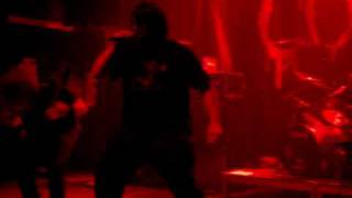 CANNIBAL CORPSE SCALDING HAIL