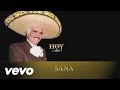Vicente Fernández - Saña (Cover Audio)