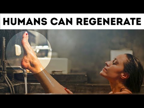 あなたが以前に知っていたと思う99の迅速な人体の事実 (99 Quick Human Body Facts You Wish You'd Known Before)