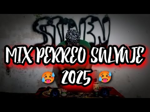 DJ STIVEN MIX PERREO SALVAJE 🔥🥵 (Dale, Coqueta, Cochinea, Dj Peligro, etc) #mix #perreo #salvaje 