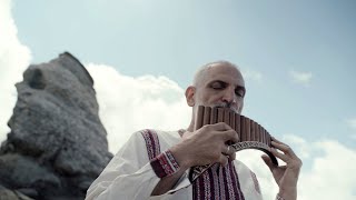 Muzica