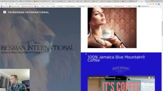 Tribesman International Website Audit