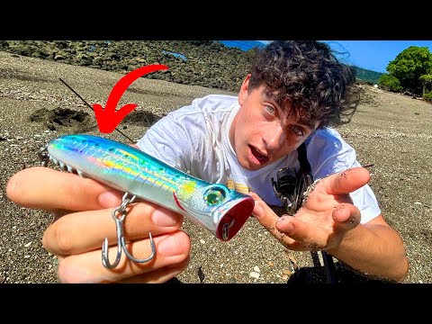 Auf diesen Köder gelingt mir der 10-Kilo MEGA Fang!! 🦖