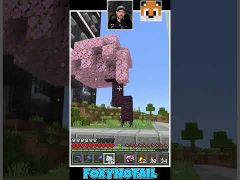 FoxyNoTail - Cherry Blossom Fail  #mcpe #minecraft #minecraftbedrock