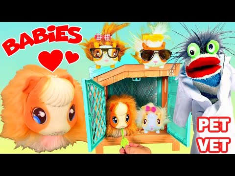 Fizzy the Pet Vet Helps Mama Guinea Pig and Babies