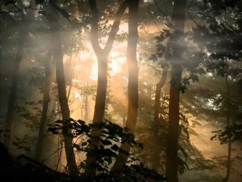 INESSA GALANTE Pieta Signore - Alessandro Stradella - (INFO)