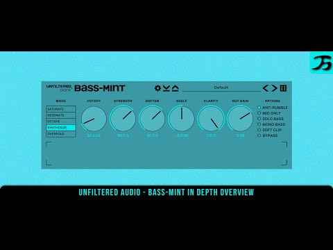 Bass-Mint by Unfiltered Audio In Depth Overview